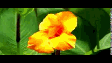 Jo Dil Peh Gujarati Hai Lyrics - Lalita Pawar | Ulhas | Prithviraj Kapoor | Jayshree Shivram