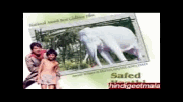 Jungle Jungle Dolu Mai Lyrics - Shatrughan Sinha | Utpal Dutt | Gayatri | Hemlata | Nirmala Devi