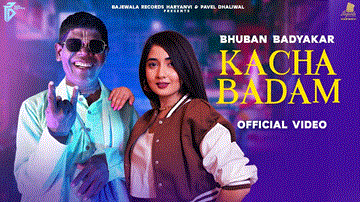 Kacha Badam Lyrics - Bhuban Badyakar | Amit Dhull | Nisha Bhatt