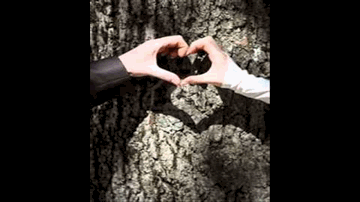 Kaise Kahoon Lyrics - Jawad Ahmad