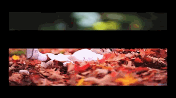 Kale Rang Dee Lyrics - Anupam Kher | Sharat Saxena | Sunil Dutt | Sonali Vajpayee