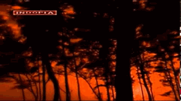 Kanha Re, Kanha Re Lyrics - Vandana Khandekar
