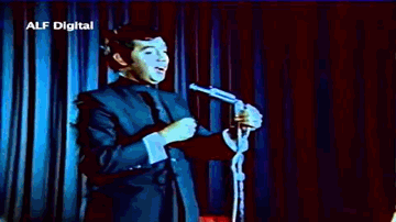 kasamen ham apanii jaan kii khaae chale gae Lyrics - Nazneen | Anwar