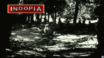 Kateli Kateli Naseli Naseli Lyrics - Meena Kumari | Jayant | Rajendra Kumar | Suman Kalyanpur