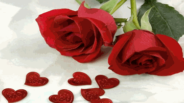 Khat Likna Lyrics - Govinda | Karisma Kapoor | Kader Khan | Alka Yagnik | Sonu Nigam
