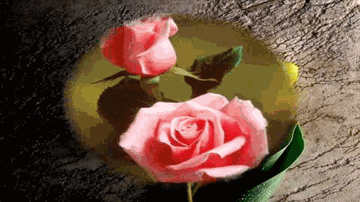 Khwaab Sab Poore Tumhari Lyrics - Pamela Singh