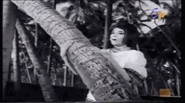 Koi Bahar Ban Ke Lyrics - Sanjeev Kumar | Asit Sen | Aruna Irani | Suman Kalyanpur