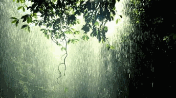 Maan Mausam Ka Lyrics - Pankaj Udhas | Kumar Sanu | Ghulam Ali | Jagjit Singh