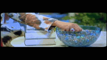 Magar Meri Jaan Lyrics - Shah Rukh Khan | Randhir Kapoor | Johnny Lever | Anushka Manchanda