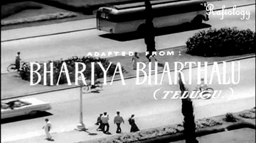 Mai Albela Jawan Hu Rangeela Lyrics - Rajendra Kumar | Jamuna | Mohammed Rafi