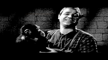 Main Bandar Hu Lyrics - Dilip Kumar | Dev Anand | Jayant | Mohammed Rafi