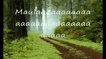 Maula Lyrics - Atif Aslam