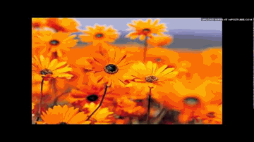 Mera Ishq Lyrics - S.Balbir | Shiv Dayal Batish