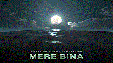 Mere Bina Lyrics - The PropheC | Talha Anjum | Punjabi Song