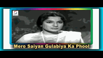 Mero Saiyan Gulabiya Ka Phul Lyrics - Meenu Purushottam | Suman Kalyanpur