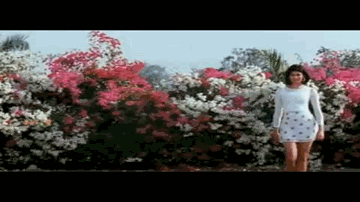 muhabbat honii thii muhabbat ho ga_ii hai Lyrics - Puja Batra | Sunil Shetty | Anupama Verma | Alka Yagnik | Babul Supriyo