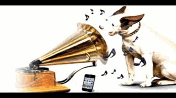 Na Ye Chaand Hoga Na Lyrics - Shamim | Shyam Kumar | Gulam Mohammad | Asha Bhosle
