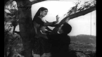 Nain Milaa Ke Pyaar Jaga Ke Lyrics - Shyam | Mukri | Premnath | Jagjeet Kaur | Mohammed Rafi