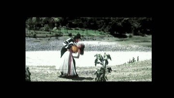 Phool Kali Chand Lyrics - Paresh Rawal | Dimple Kapadia | Nana Patekar | Sadhana Sargam | Udit Narayan