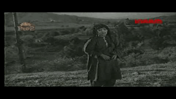 Piya Piya Piya Na Kook Papiha Lyrics - Sudhir | Musarrat Nazir | Geeta Ghosh Roy Chowdhuri (Geeta Dutt)