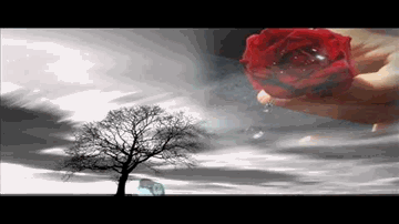 Pyar Bhi Ho Jayega Lyrics - Nadeem Saifi