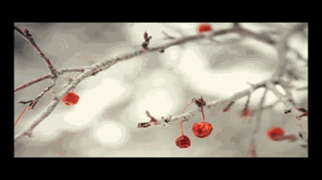 Pyar Ke Aage Lyrics - Gulshan Grover | Madhavi | Rajesh khanna | Simi Sinha