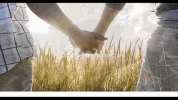 Pyar Na Toote Lyrics - Bhupinder Singh And Mitalee Singh | Bhupinder | Mitali Singh