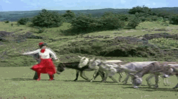 Pyara Pyara Sama Lyrics - Pradeep Kumar | Asrani | Dev Anand | Lata Mangeshkar