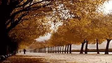 Raahon Pe Nazar Lyrics - Bhupinder Singh And Mitalee Singh | Bhupinder | Mitali Singh
