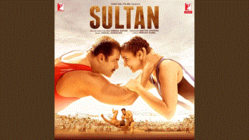 Rise Of Sultan Lyrics - Salman Khan | Anushka Sharma | Shekhar Ravjiani