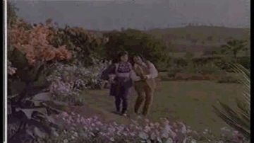 Roko Manao Wo Chala Lyrics - Sujit Kumar | Baldev Khosa | Anwar Hussain | Meena Patki | Mohammed Rafi