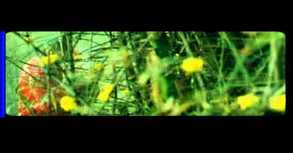 Rootho Naa Lyrics - Various