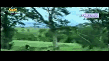Samne Baithi Raho Lyrics - Rekha | Paresh Rawal | Raza Murad | Alka Yagnik | Kumar Sanu