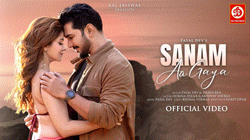 Sanam Aa Gaya Lyrics - Rubina Dilaik | Abhinav Shukla | Stebin Ben | Payal Dev