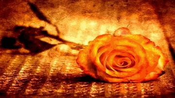 Sohni Meri Sohni (Rab Mujhe Maaf Kare) Lyrics - Sunny Deol | Poonam Dhillon | Anwar | Asha Bhosle