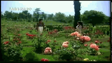 Somwar Ko Hum Mile Lyrics - Sanjeev Kumar | Aruna Irani | Reena Roy | Kishore Kumar | Lata Mangeshkar