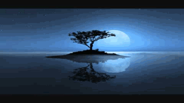 Sona Yaar Lyrics - Roop Kumar Rathod | Sunali Rathod