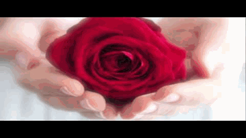 Subhan Allah Lyrics - Ali Fazal | Sapna Pabbi | Anupam Amod | Imran Ali