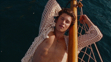 Summer Of Love Lyrics - Shawn Mendes | Tainy