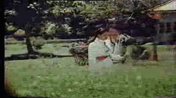 Sun Zara Shokh Haseena Lyrics - Randhir Kapoor | Mala Sinha | Shammi Kapoor | Asha Bhosle | Kishore Kumar