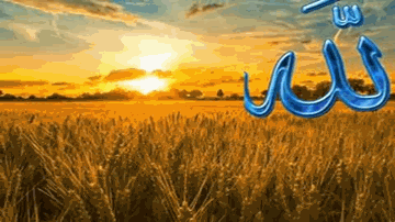 taariif us Kudaa kii Lyrics - Amitabh Bachchan | Sanjeev Kumar | Sunny Deol | Jagjit Singh | Chitra Singh (Chitra Dutta)