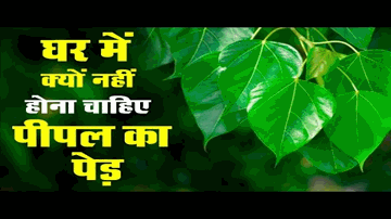 Taaron Kee Thandee Chhainya Lyrics - Shashikala | Mahipal | Niranajan Sharma | Mukesh Chand Mathur (Mukesh) | Suman Kalyanpur