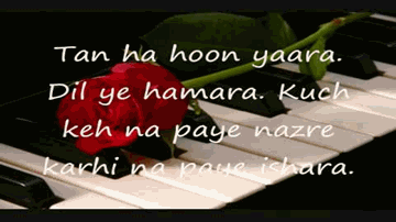 Tanha Hoon Yaara Lyrics - Neelu Kohli | Imran Ahmed Khan | Sonali Khare | Harìharan