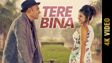 Tera Bina Lyrics - Raj | Punjabi Song