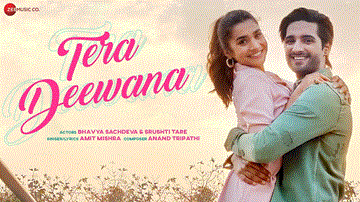तेरा दीवाना Tera Deewana Lyrics - Amit Mishra