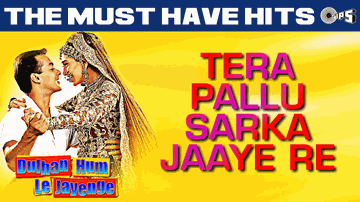 Tera Pallu Sarka Jaye Re Lyrics - Salman Khan | Anupam Kher | Paresh Rawal | Alka Yagnik | Sonu Nigam