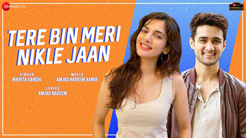 Tere Bin Meri Nikle Jaan Lyrics - Natasha Singh | Ashish Bisht | Nikhita Gandhi