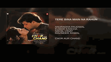 Tere Bina Main Na Rahun Lyrics - Anuradha Paudwal | Kumar Kanchas