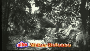 Tere Hi Chhaya Mein Lyrics - Shashikala | Mahipal | Niranajan Sharma | Asha Bhosle