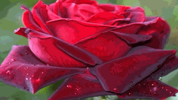 Tere Hoton Pe Lyrics - Amitabh Bachchan Corporation Ltd | Sachin Gupta | Sadhana Sargam